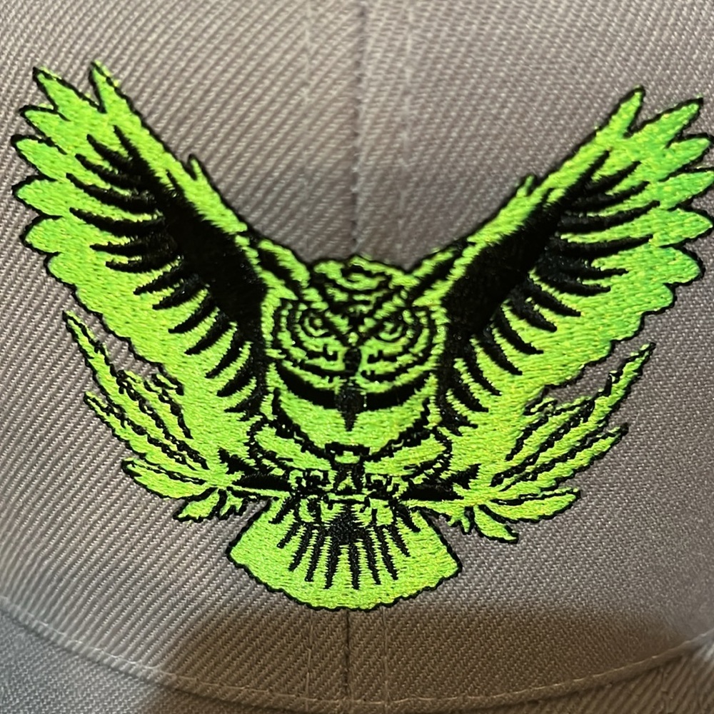 SnapBack - Picture 9 of 12